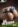 Daisy-3 16KG Big Butt Silicone Sex Doll