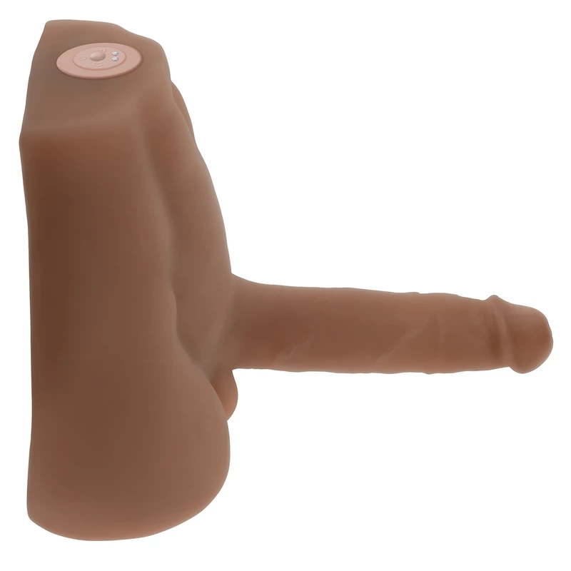 1756386208.120696-brown_3 Evolved – Torso Easy Rider – Dark